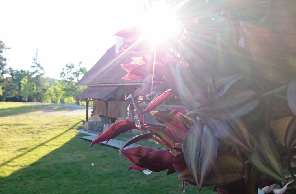 Rustic Home Mia Duga Resa Ruang foto